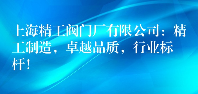 上海精工阀门厂有限公司：精工制造，卓越品质，行业标杆！