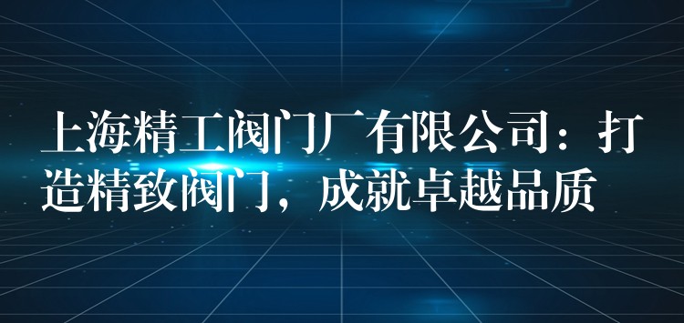 上海精工阀门厂有限公司：打造精致阀门，成就卓越品质