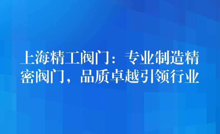 上海精工阀门：专业制造精密阀门，品质卓越引领行业