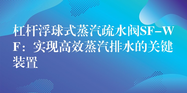 杠杆浮球式蒸汽疏水阀SF-WF：实现高效蒸汽排水的关键装置