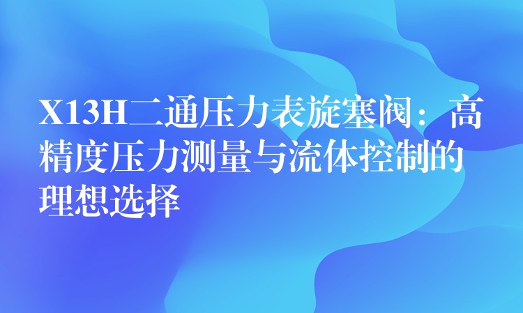 X13H二通压力表旋塞阀：高精度压力测量与流体控制的理想选择