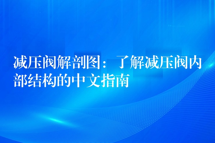 减压阀解剖图：了解减压阀内部结构的中文指南