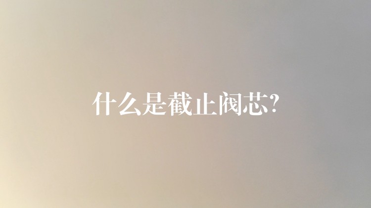 什么是截止阀芯？