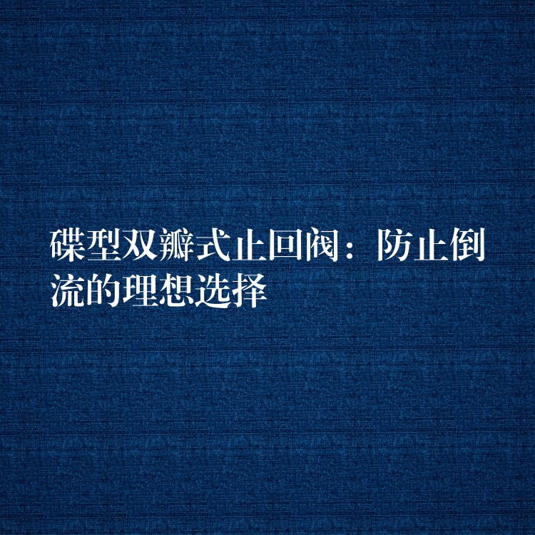 碟型双瓣式止回阀：防止倒流的理想选择